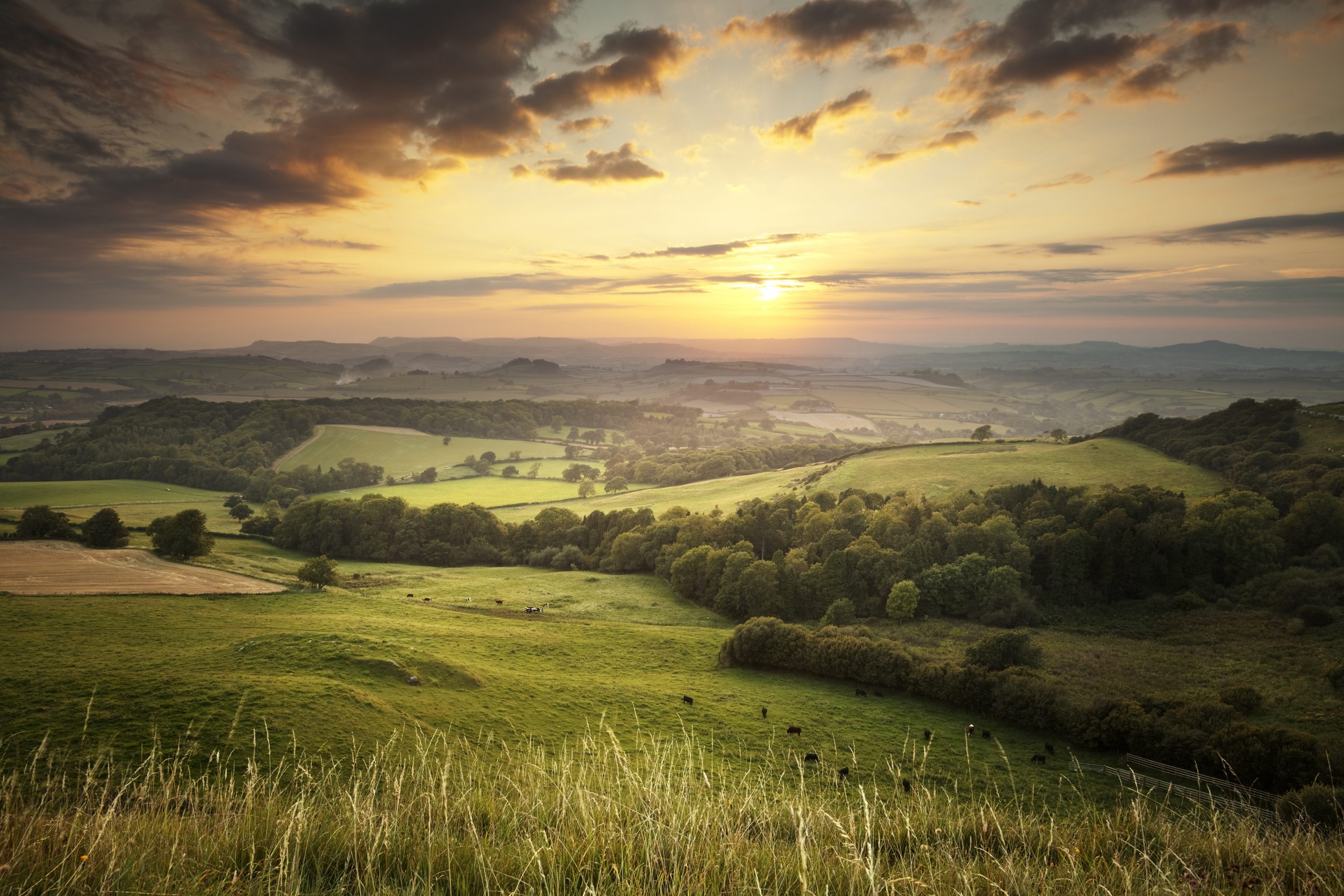 This is the view west from Eggardon Hill in Dorset, at sunset