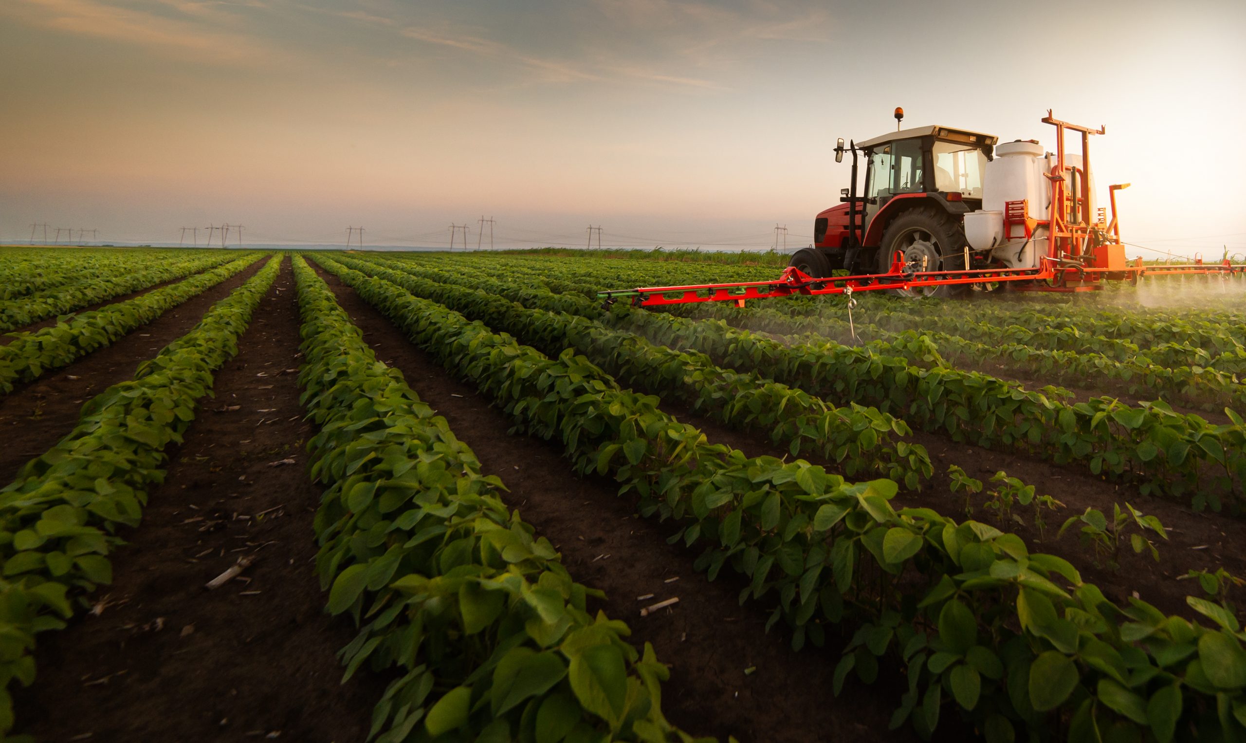 Tractor spraying pesticides on soybean field with sprayer at spring